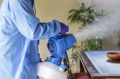 Fumigation Service in Fredericksburg, VA