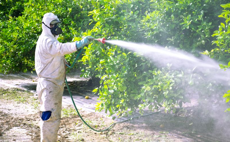 Pest Fumigation Service in Toledo, OH