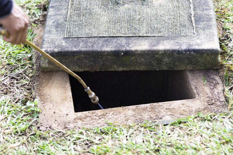 Rat Fumigation Service in Marietta, GA