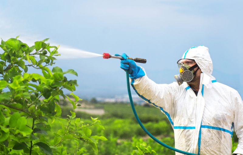 Commercial Fumigation in San Antonio, TX