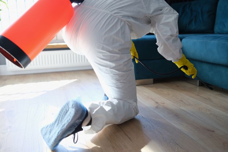 Insect Control Service in Frisco, TX
