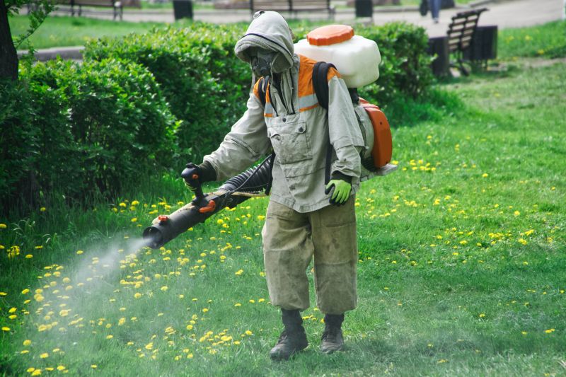 Insect Control Service in Frisco, TX