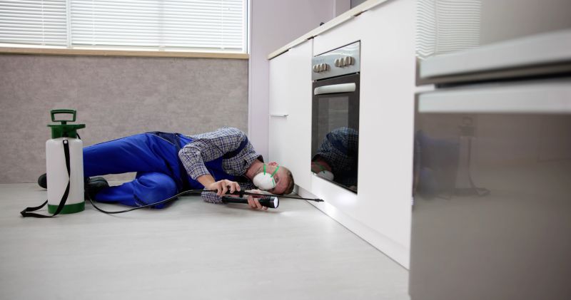 Pest Inspection Service in Katy, TX