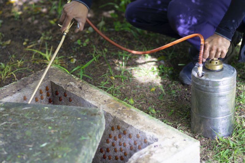 Spider Fumigation Service in Gwinnett County, GA