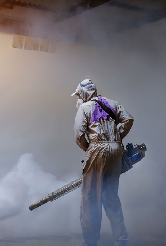 Spider Fumigation Service in Naperville, IL