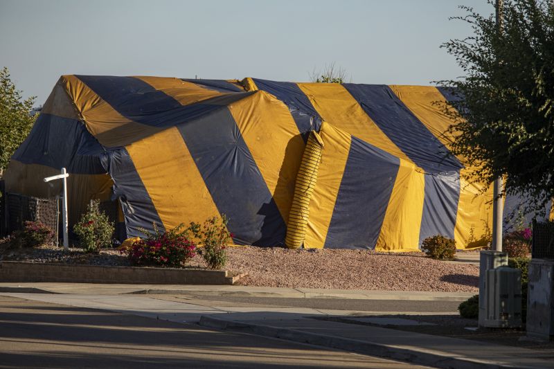 Termite Tenting in Myrtle Beach, SC